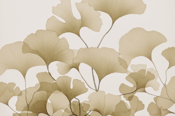 Tranquil Gingko Dreams Soft Beige
