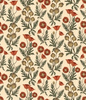 Apricot and Sage Wild Poppies - tapete