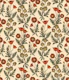 Apricot and Sage Wild Poppies -