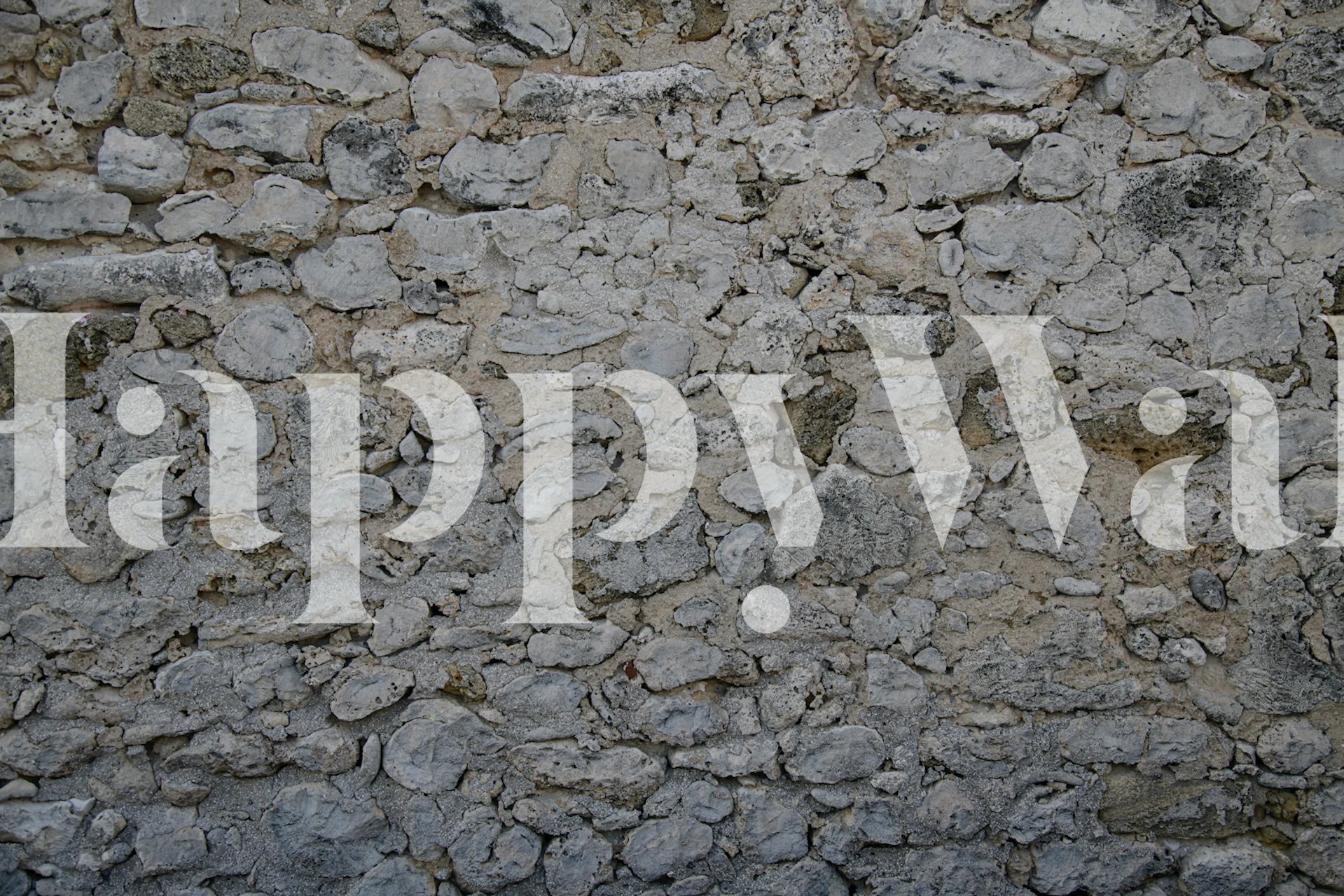 Grey and beige coral stone wall texture wallpaper