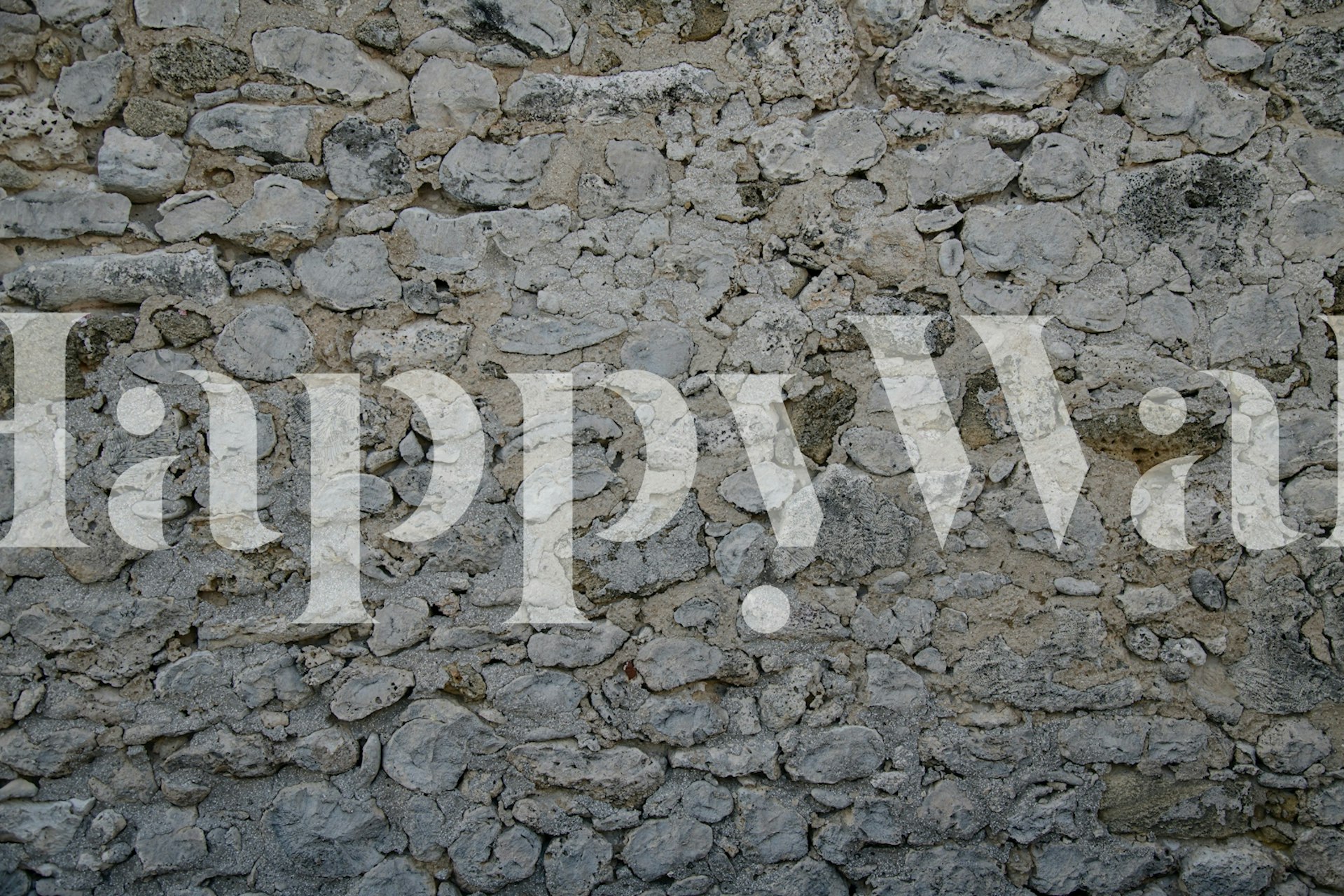 Rustic Caribbean Coral Stone Wall tapet i ett rum