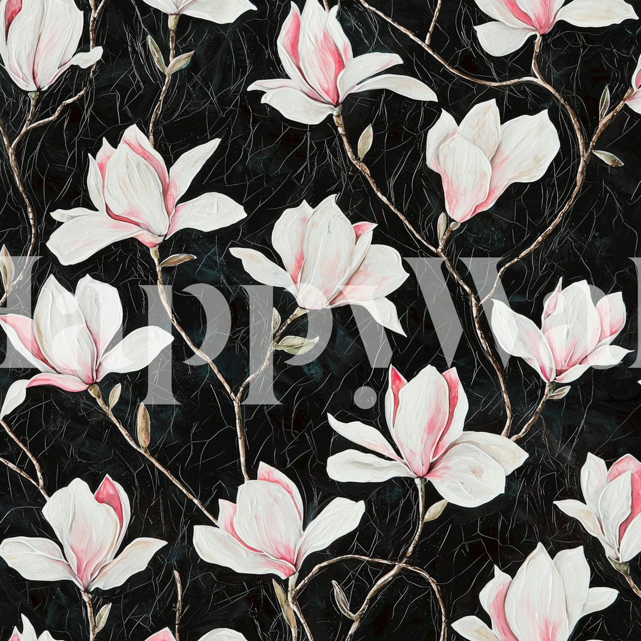 White magnolia flowers with pink accents on black background wallpaper