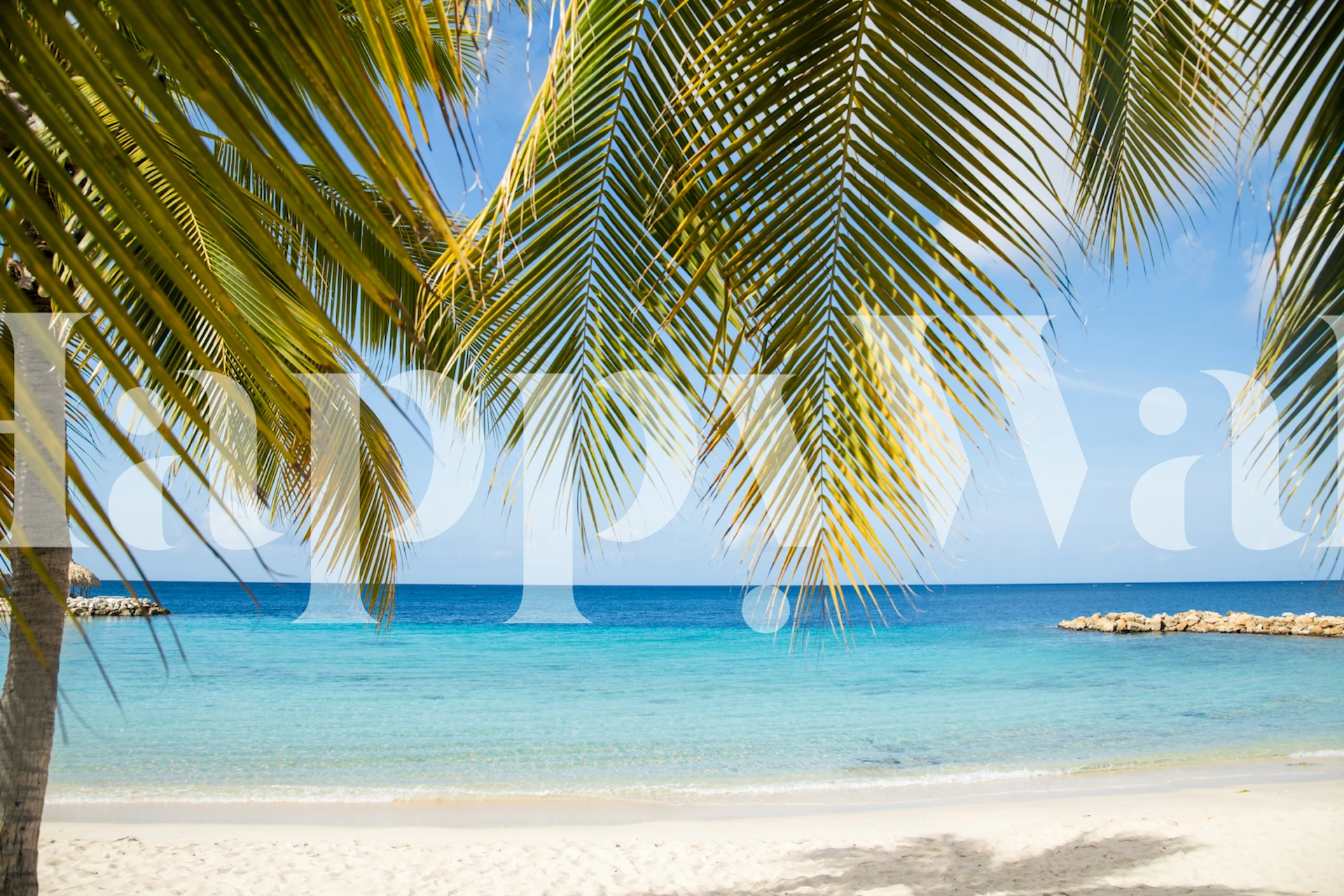 Trooppinen palma wallpaper huoneessa