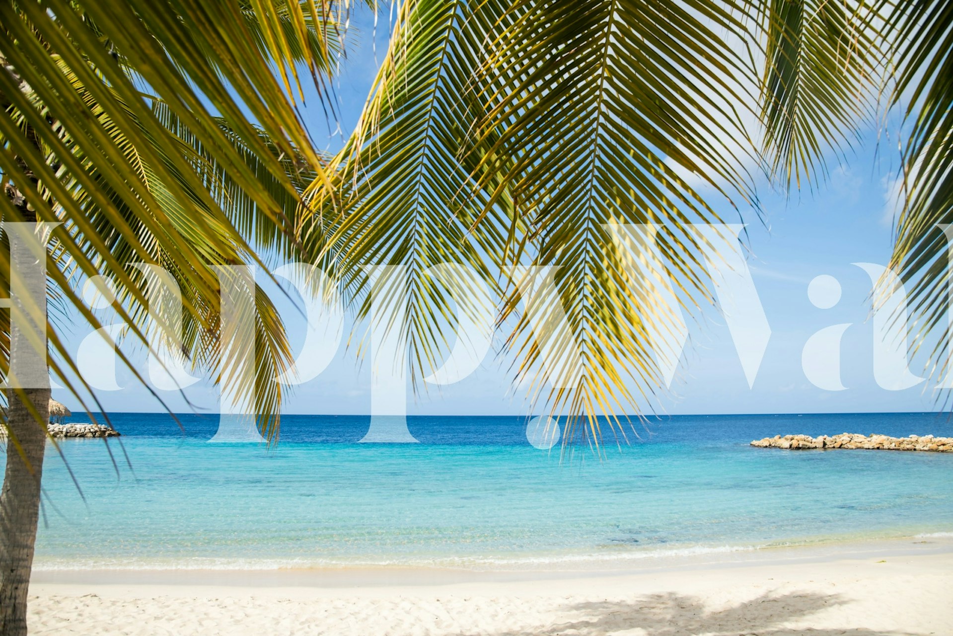 Tropical palm wallpaper in a room