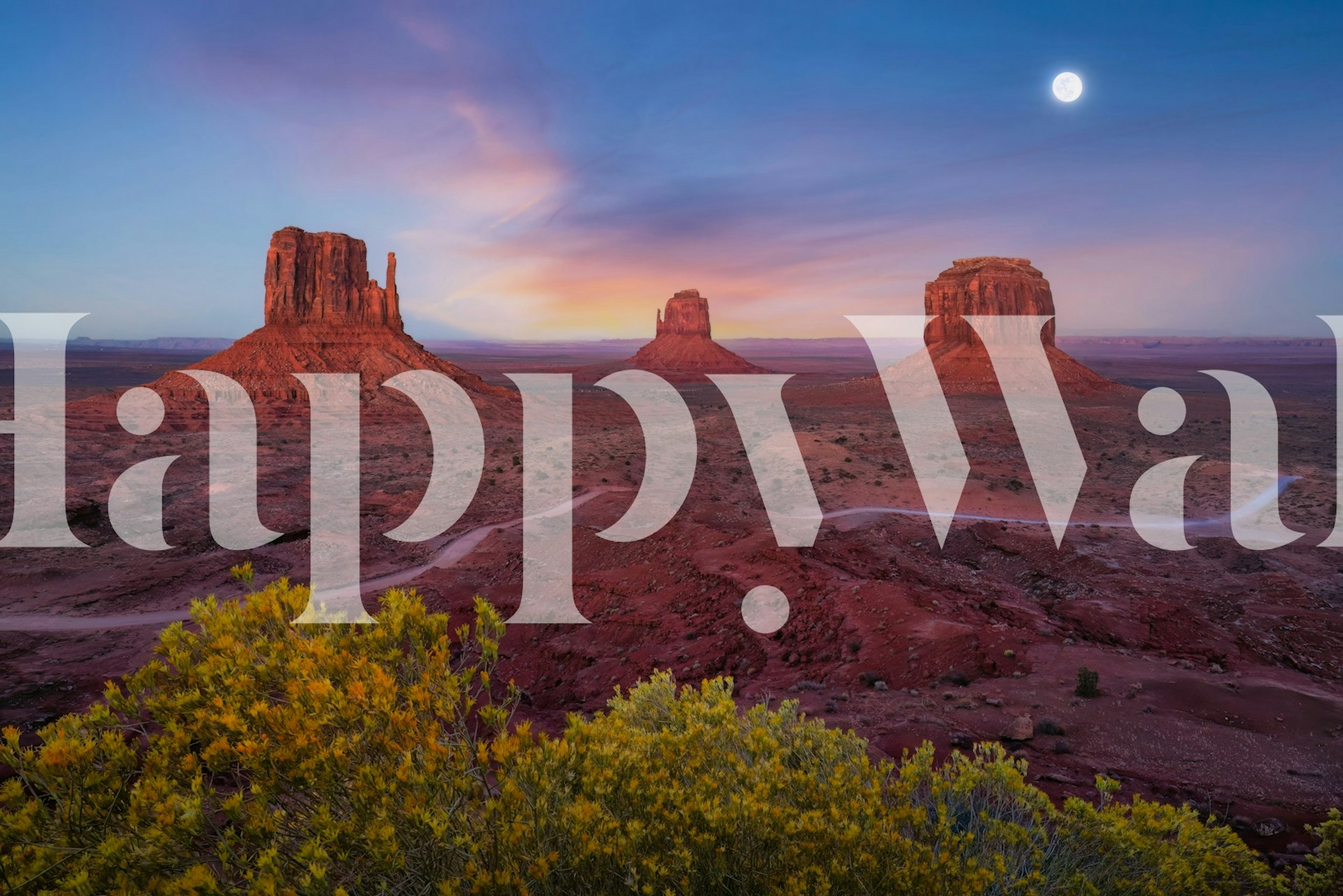 Moonlit Desert Landscape of Monument Valley tapet i ett rum