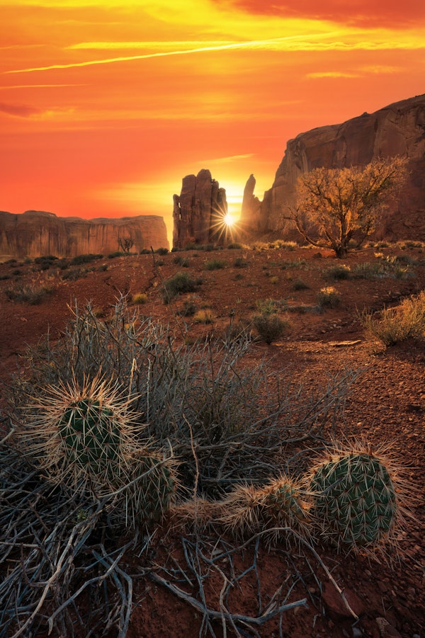 Southwestern Sunset Glow