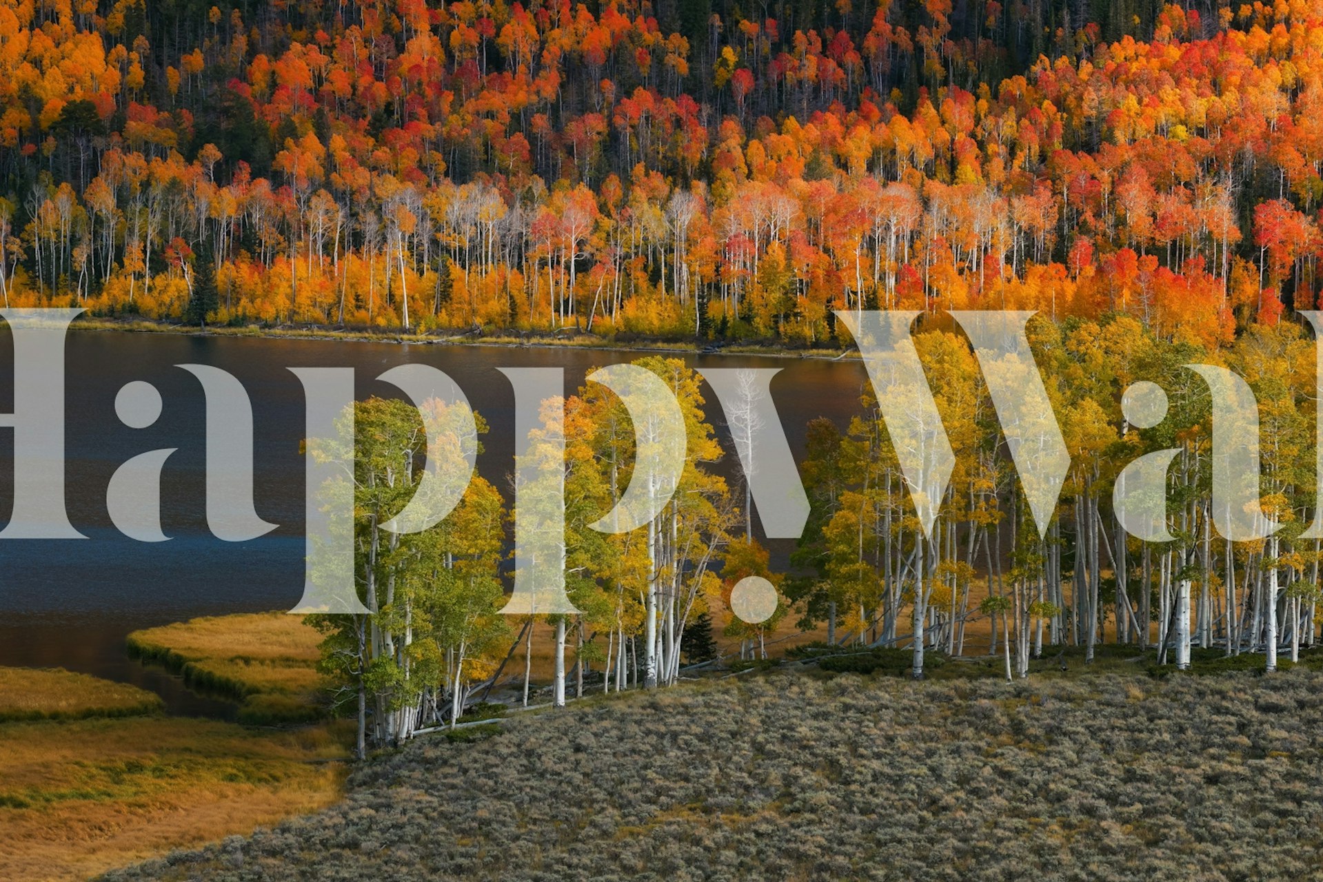 Colorful fall foliage along a serene lake with vibrant oranges, yellows, and greens wallpaper