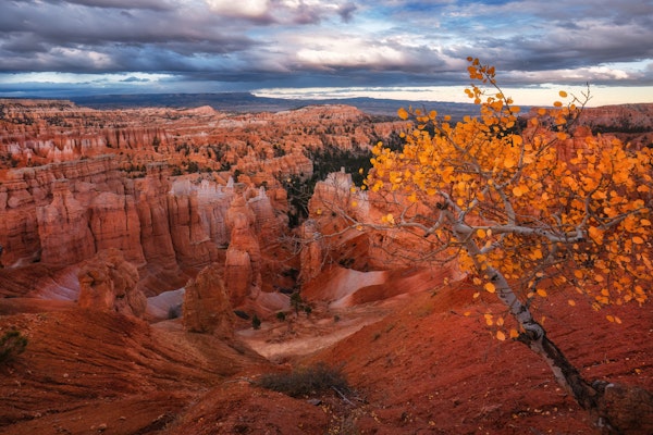 Autumn at Bryce Canyon Utah