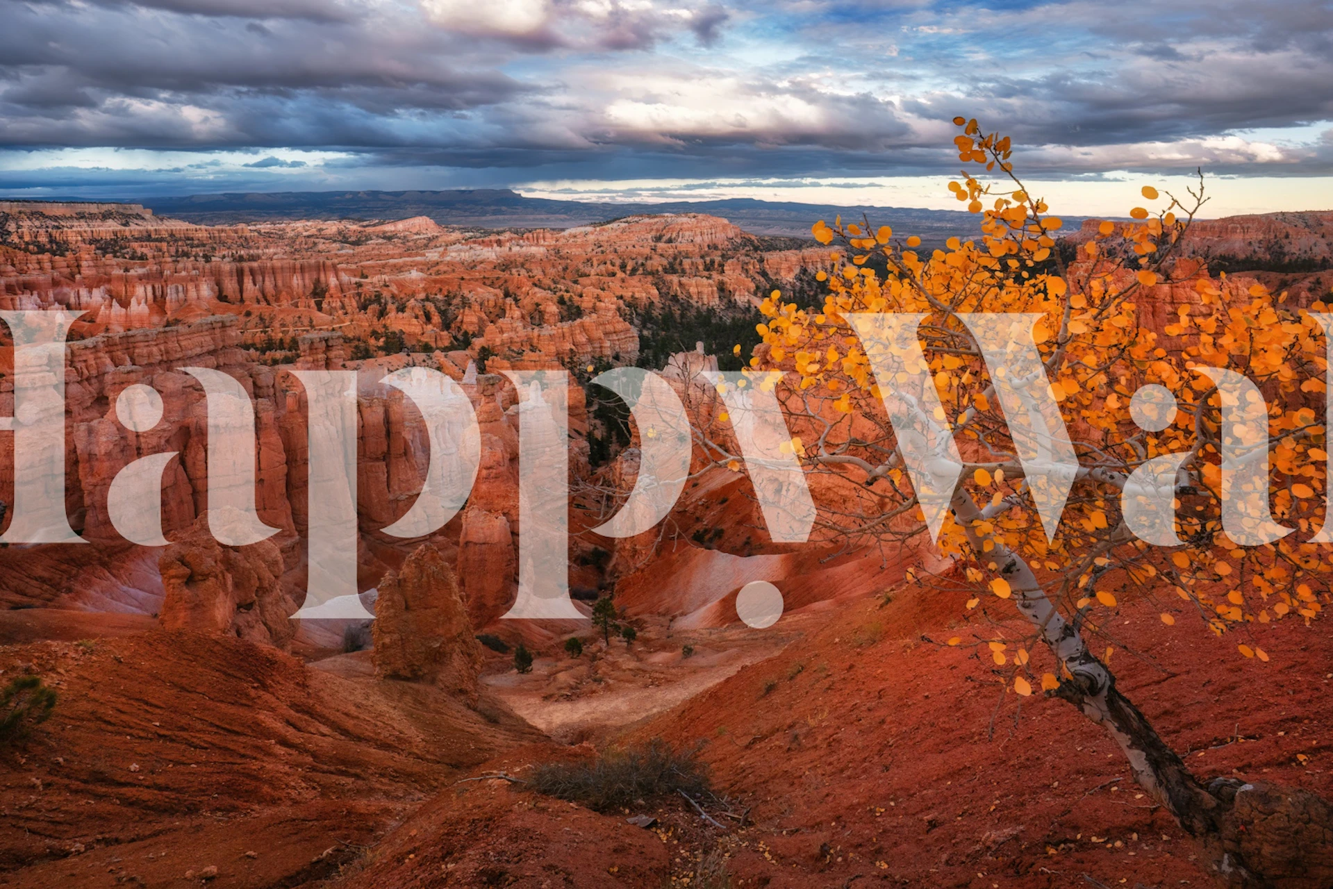Autumn at Bryce Canyon Utah wallpaper in a room