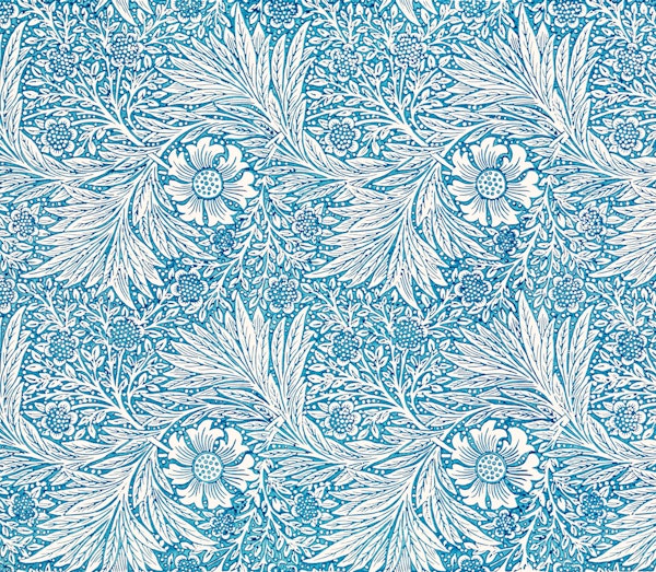 Blue Marigold - William Morris - Aster