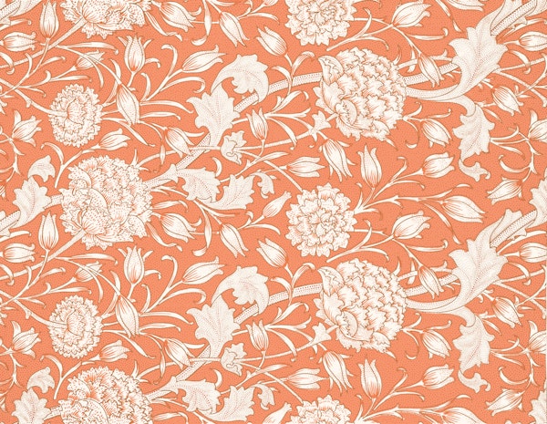 Wild Tulip - William Morris - Aster