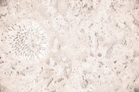Caribbean Coral Stone Glam 2 wallpaper