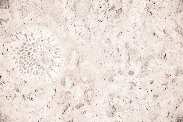 Caribbean Coral Stone Glam 2