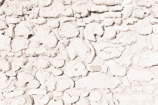 Rustic Caribbean Coral Stone Wall 4