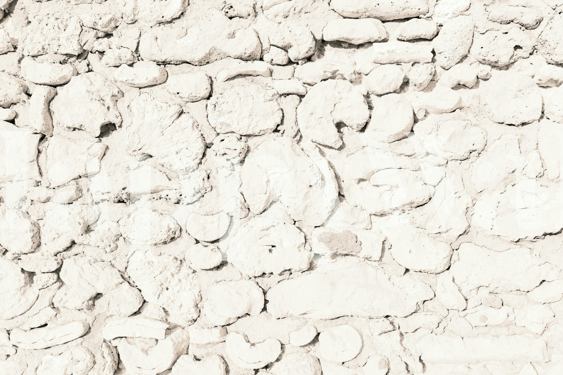 Rustic Caribbean Coral Stone Wall tapet i ett rum