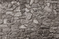 Rustic Caribbean Coral Stone Wall 5 papiers peint