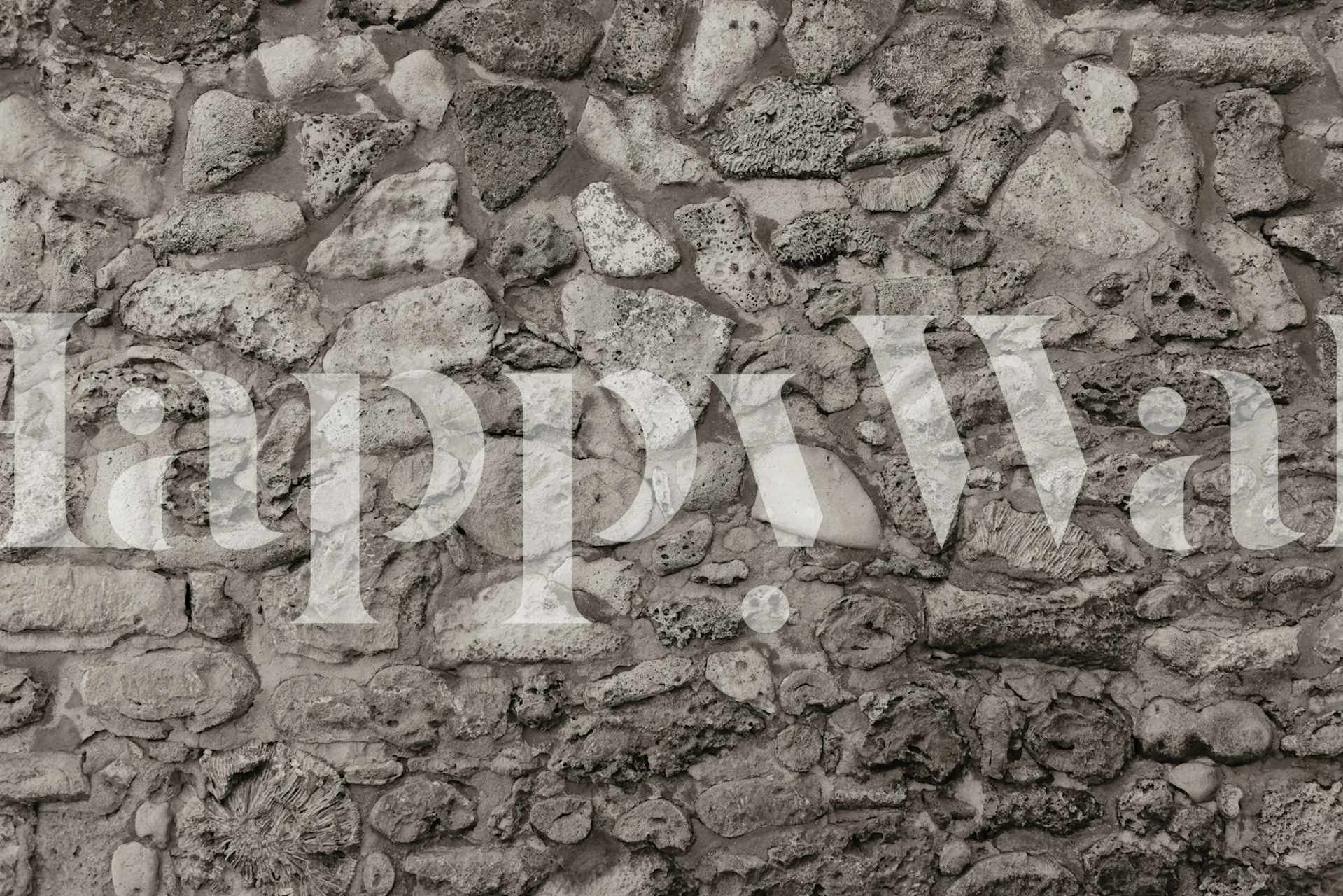 Rustic Caribbean Coral Stone Wall wallpaper design