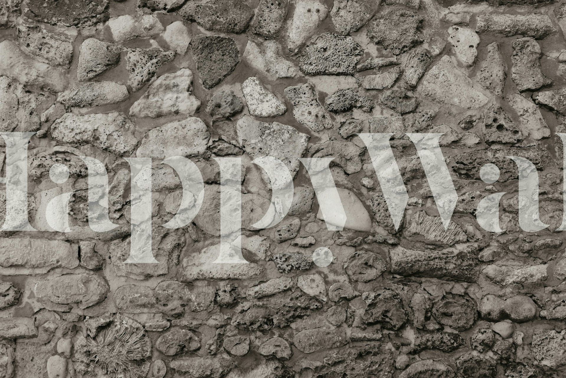 Rustic Caribbean Coral Stone Wall wallpaper design