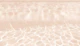 Soft Beige Underwater Pool Glam 1