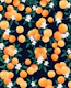 Orange Twist Flower Night 3