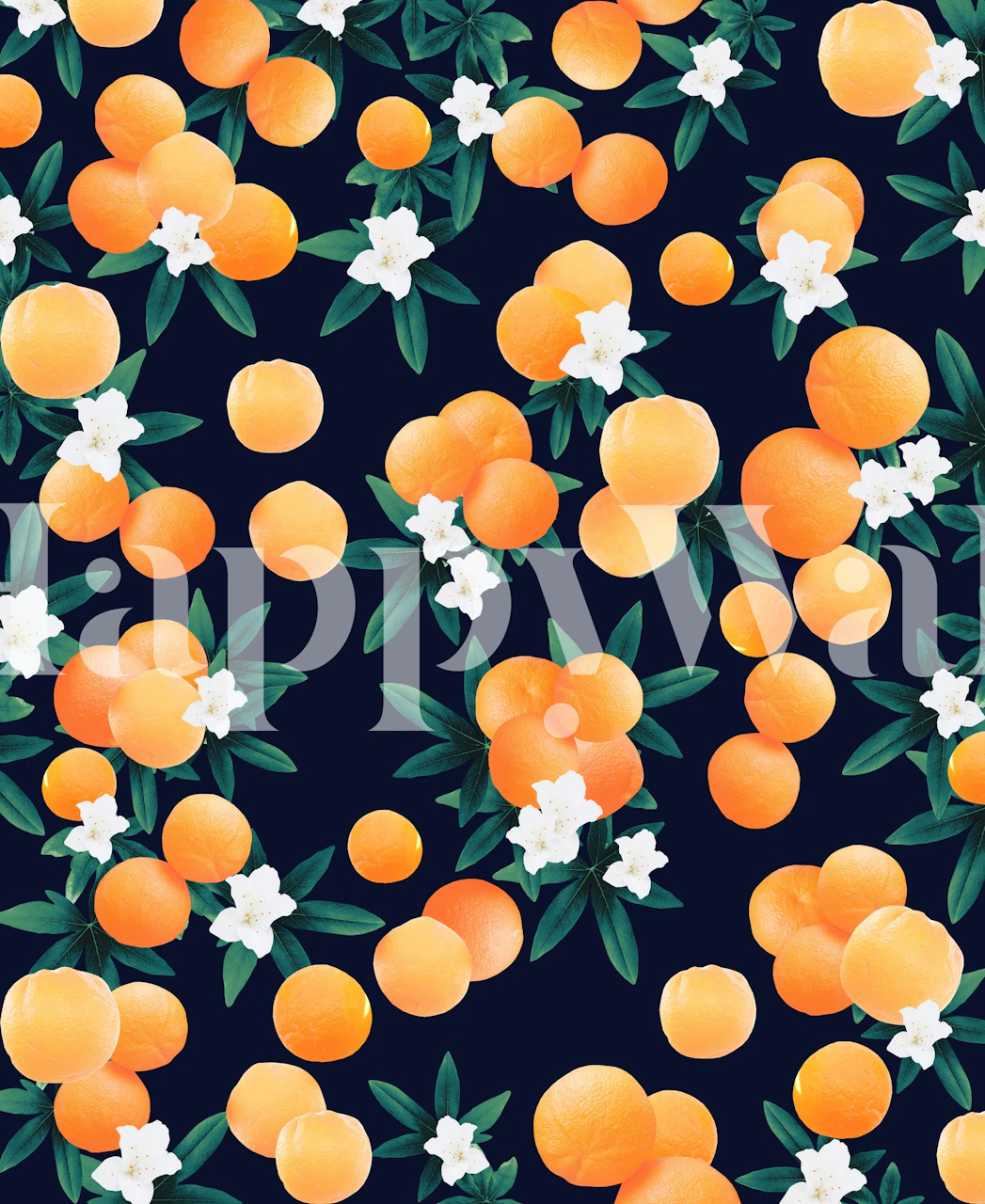 Fotobehang met feloranje citrusvruchten en witte bloemen tegen een donkerblauwe achtergrond.