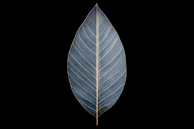 Τοιχογραφία