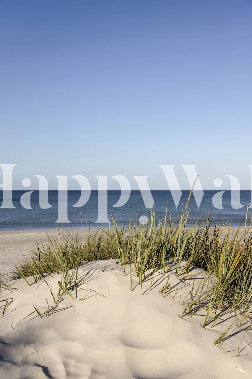 Rolig Bornholm Island-strand og havutsikt veggmaleri med sanddynegress