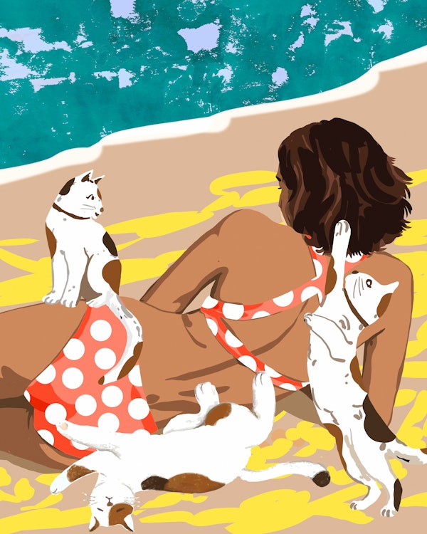 Cat Mom On The Beach