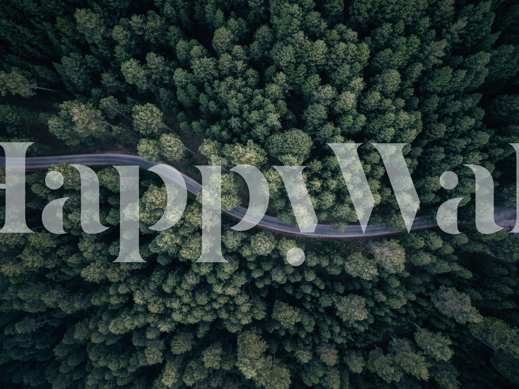 Aerial view of a winding road through a dense green forest wallpaper