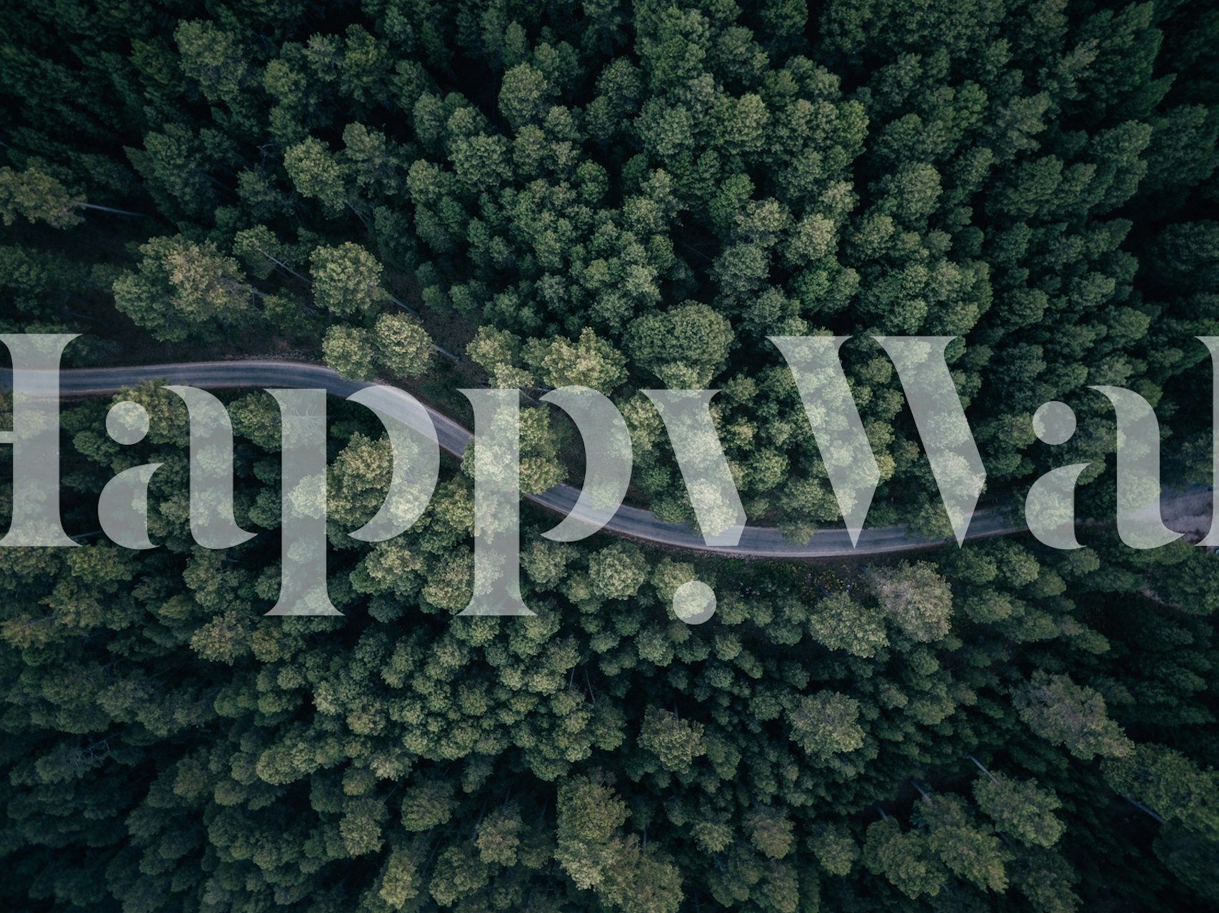 Aerial view of a winding road through a dense green forest wallpaper
