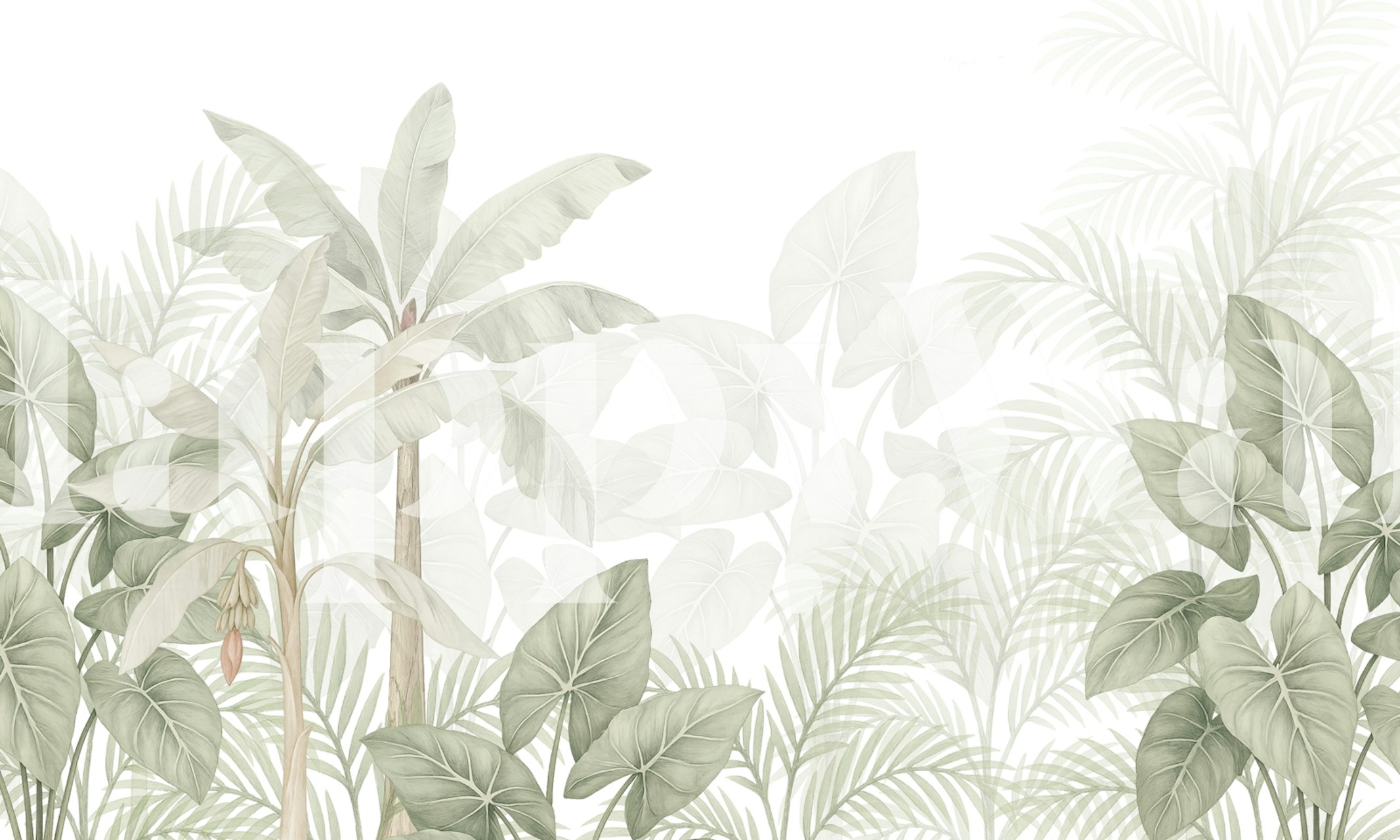 Tropical palm and leaf patterns in green and white wallpaper
