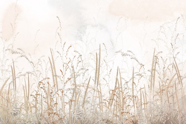 Lush Green Forest Haven