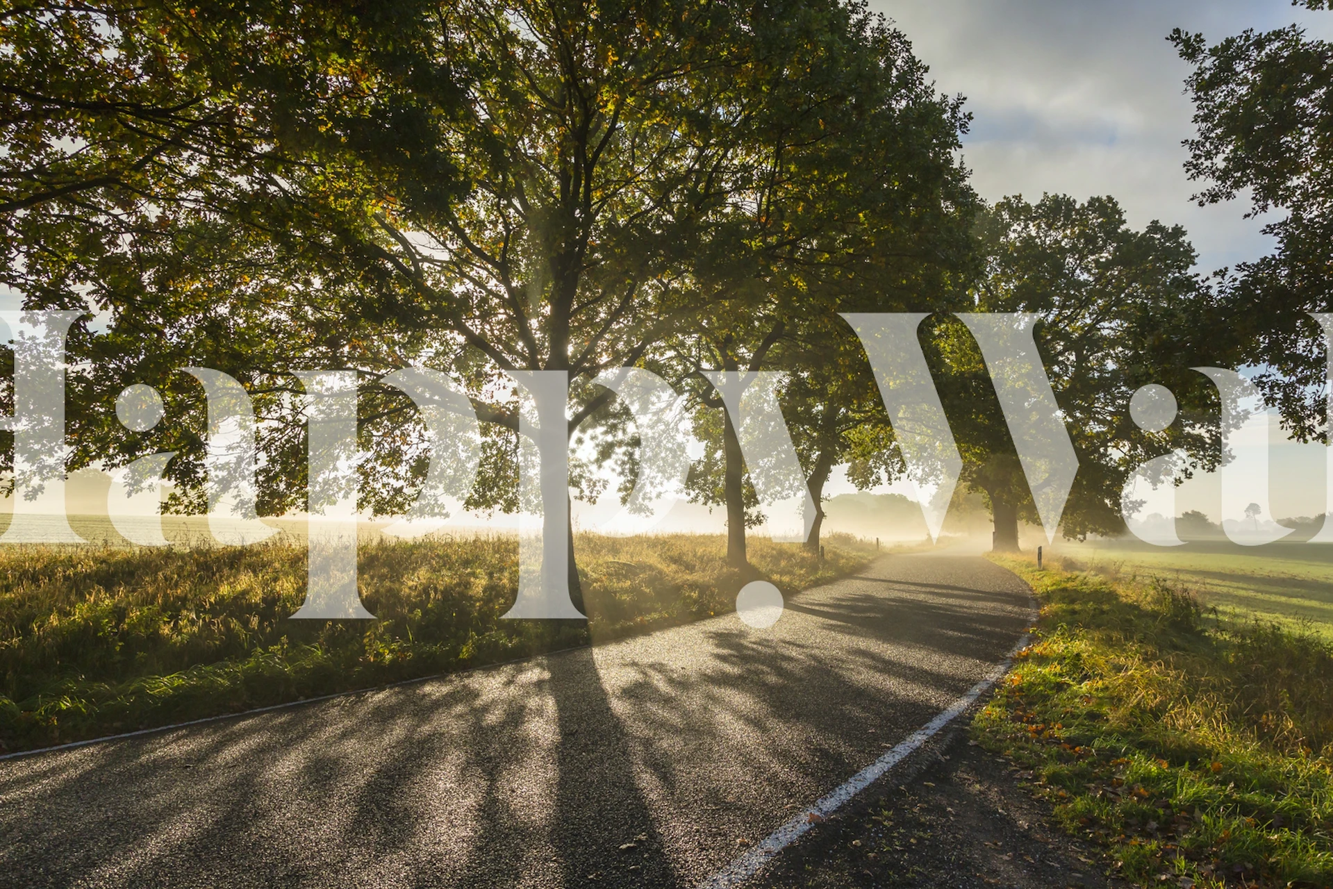 Country Road At Sunset tapet i et rom