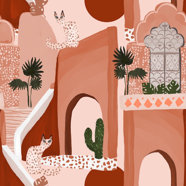 Desert cat Morocco Oasis Dreams