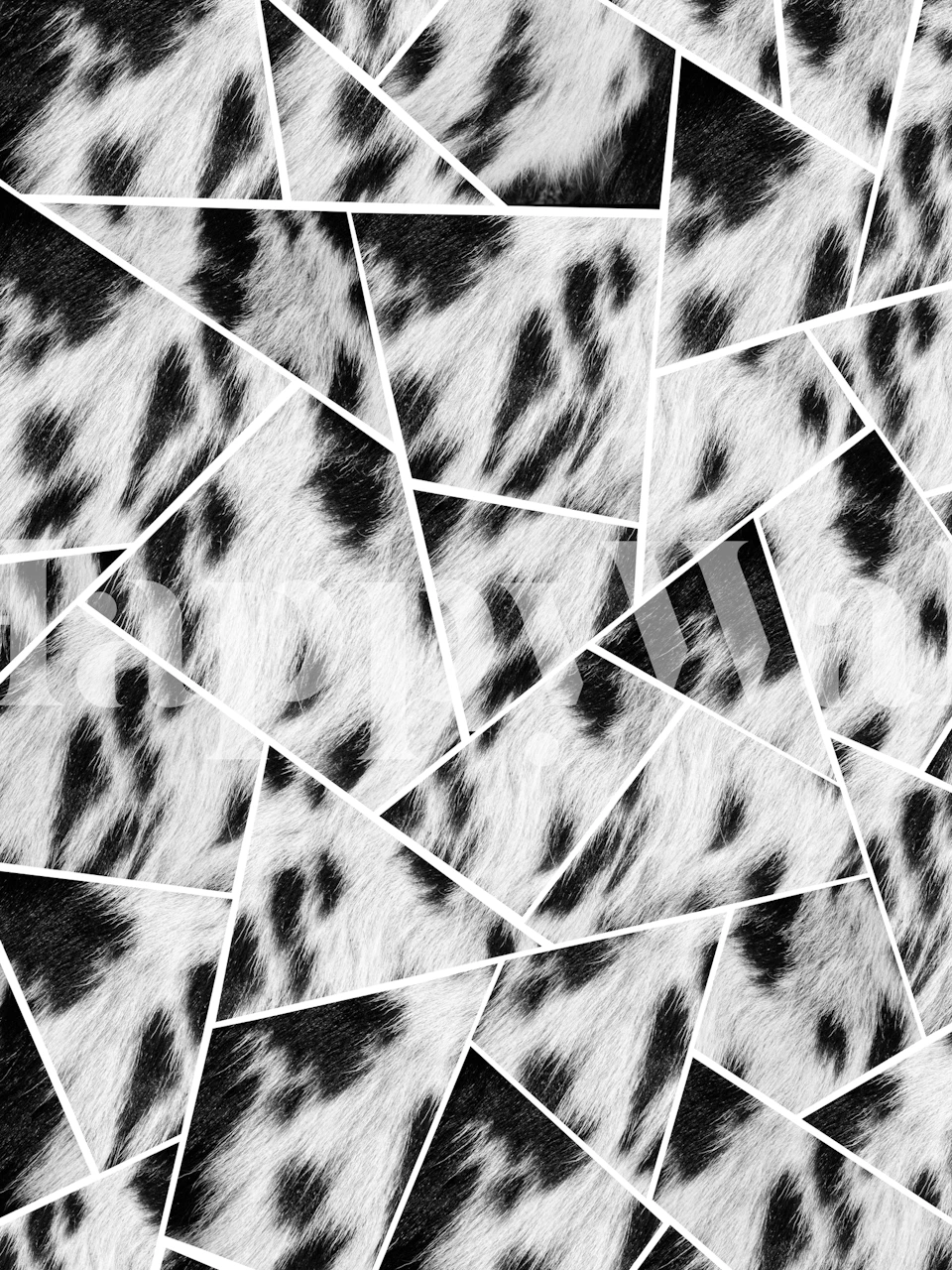 Zwart-witte geometrische muurschildering met dierenbontpatroon