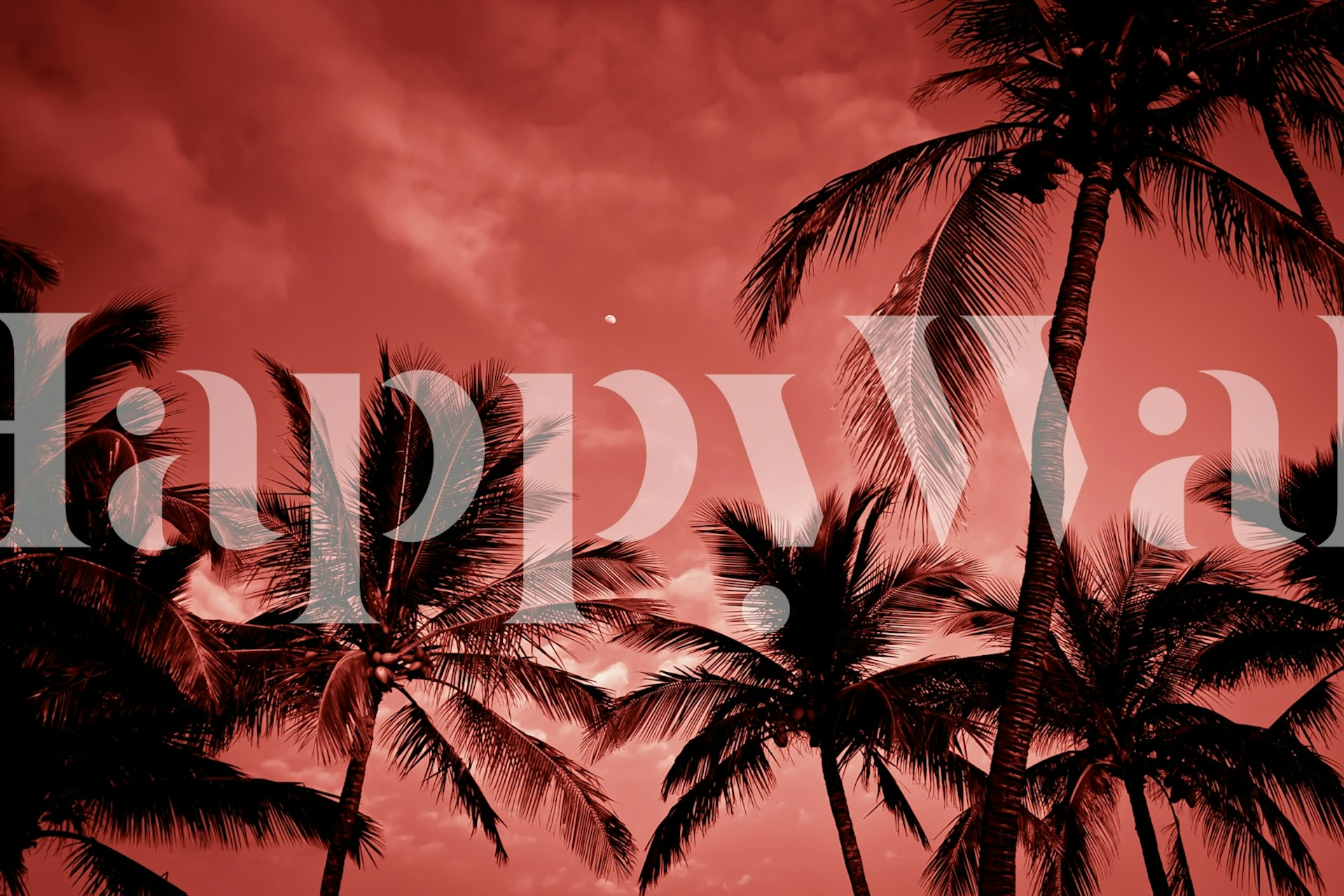 Tropical sunset wallpaper with palm trees