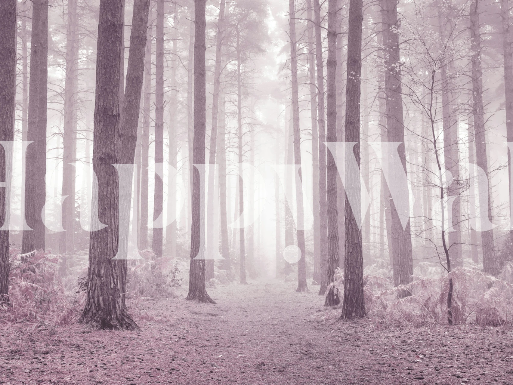 Mystical pink forest wallpaper i ett rum