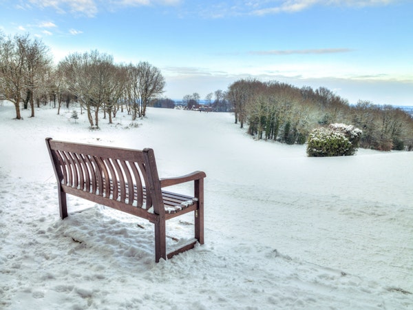 Bench in a Snowy Landscape