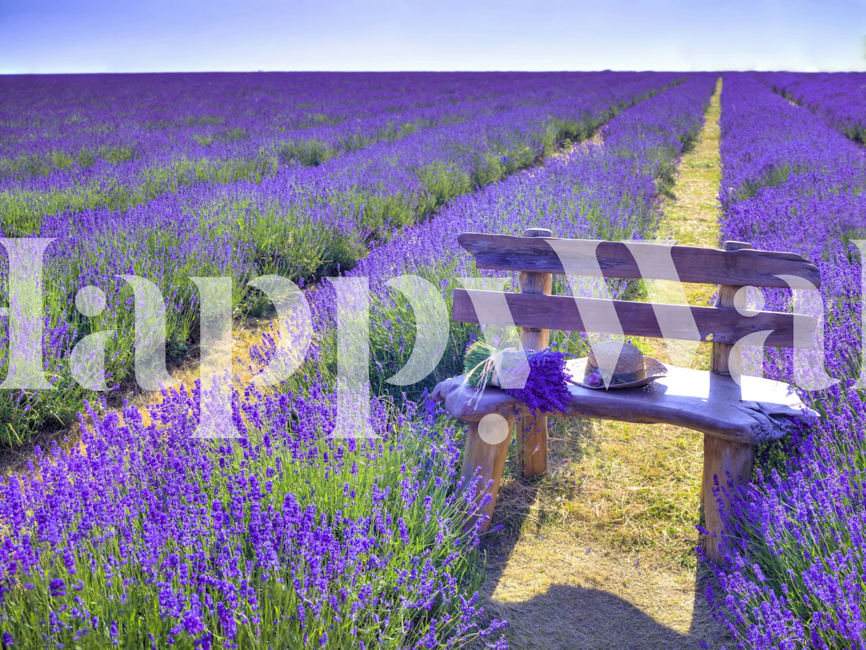Lavender field with wooden bench and hat wallpaper