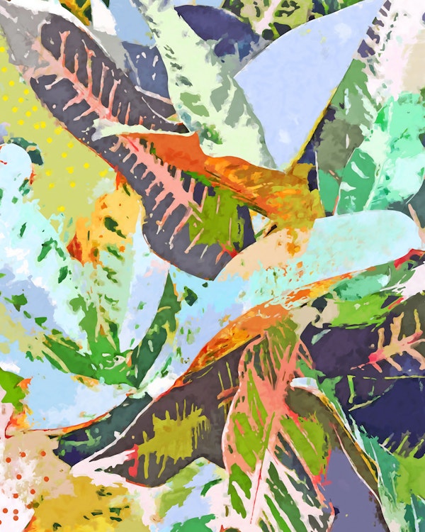 Jungle Plants Messy Style