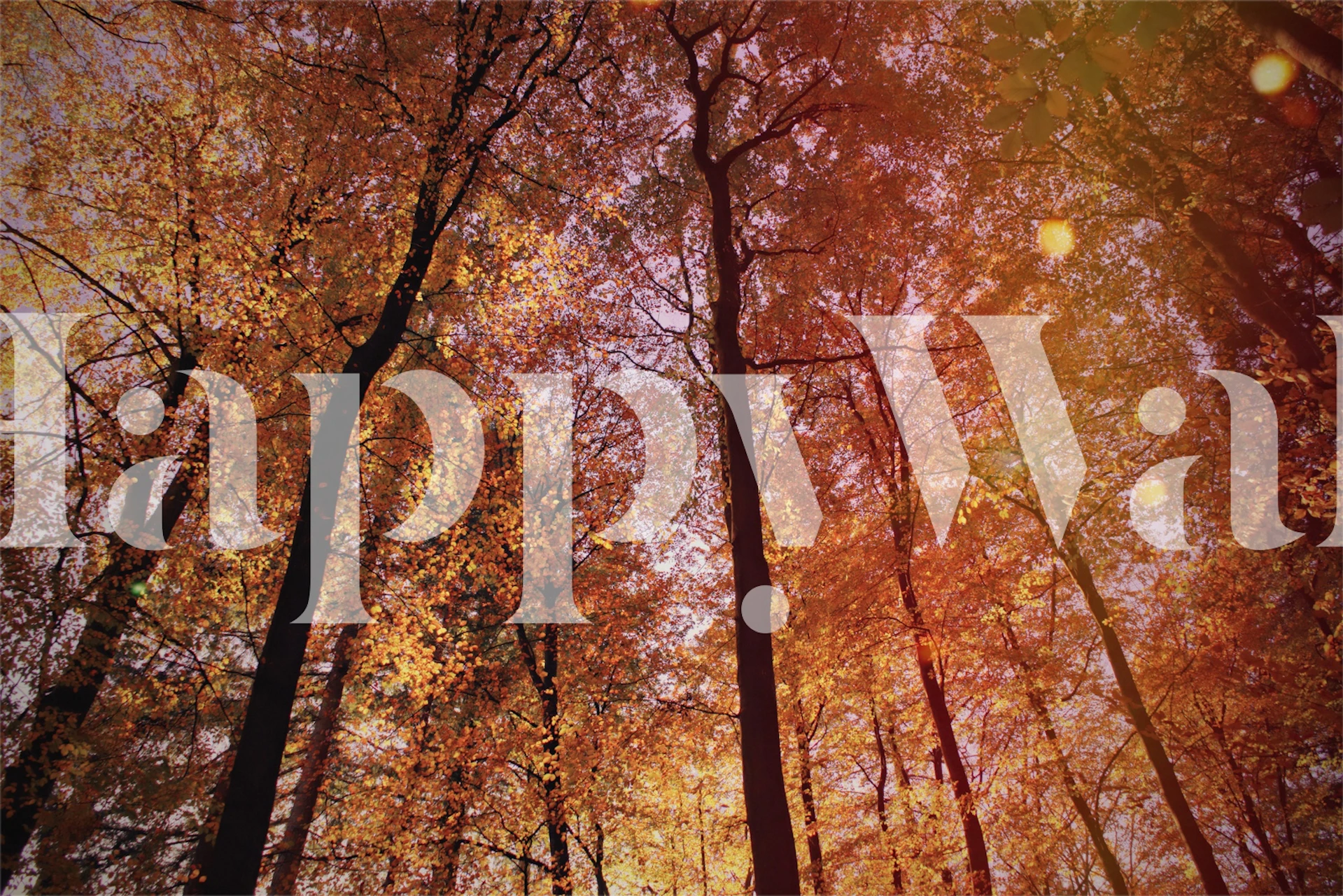 Golden Autumn Canopy tapet i ett rum