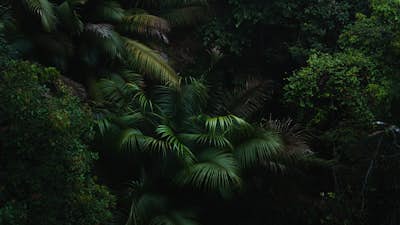 Τοιχογραφία