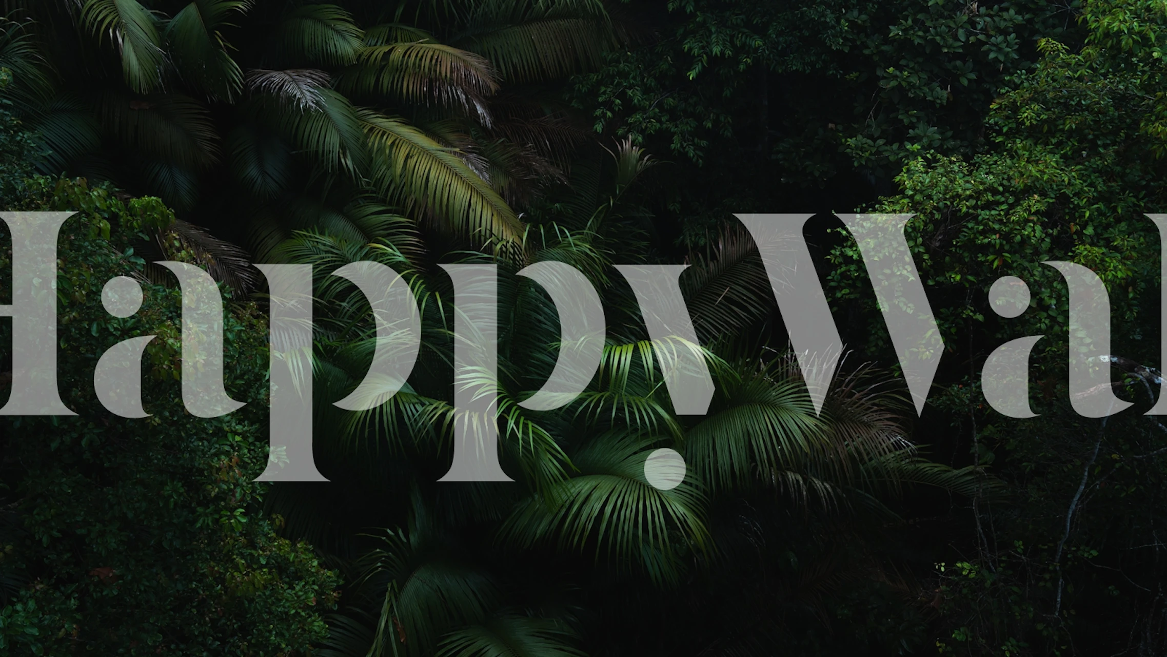 Lush tropical foliage in deep greens wallpaper