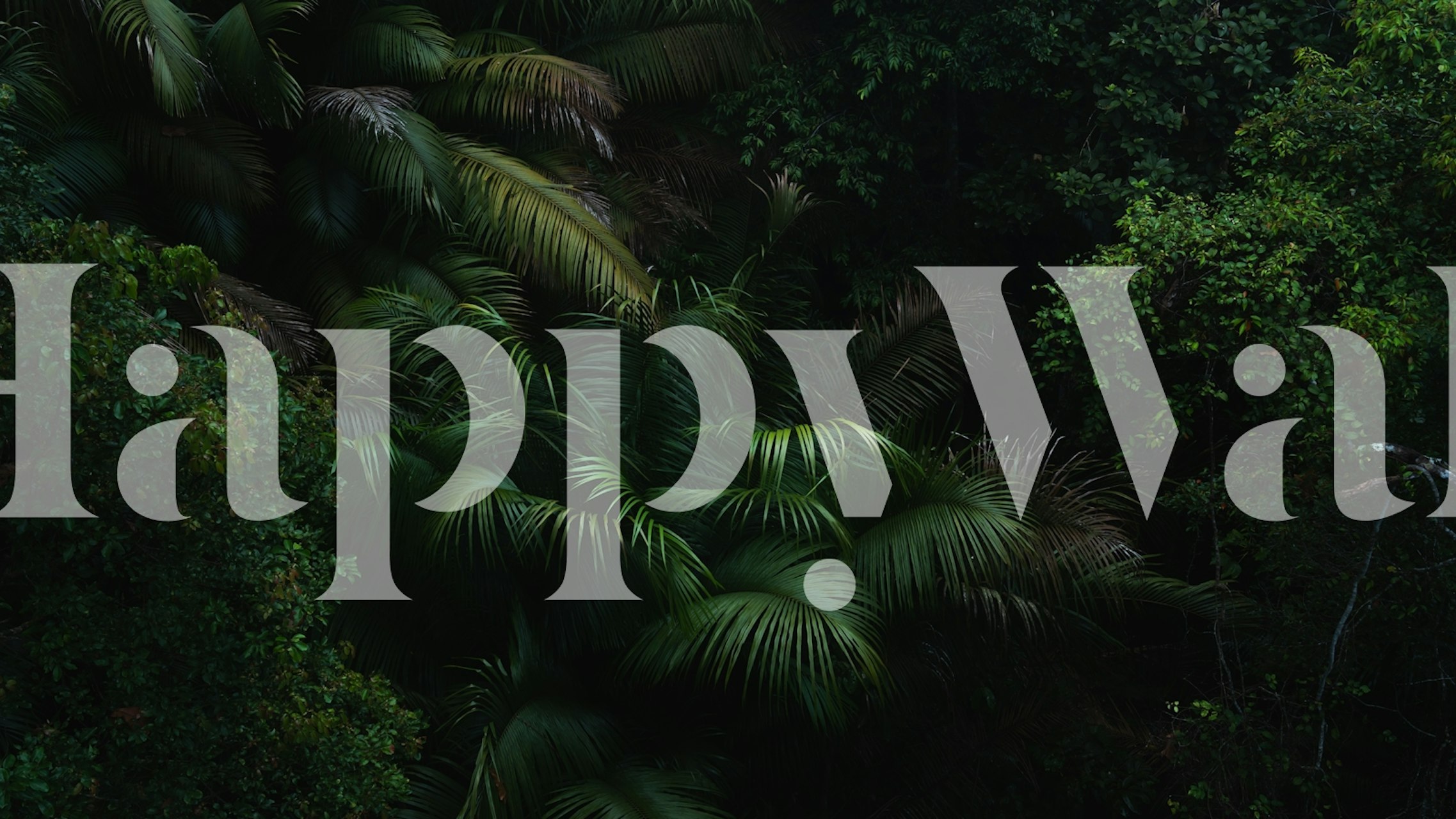 Τοίχος Deep Evergreen Jungle Escape σε ένα δωμάτιο