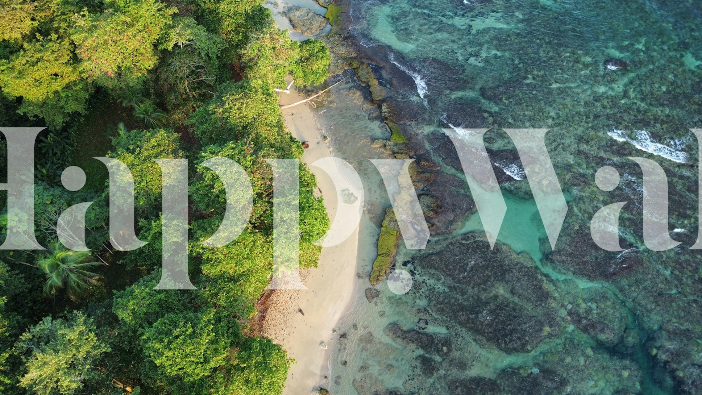 Tropical paradise retreat wallpaper in a room