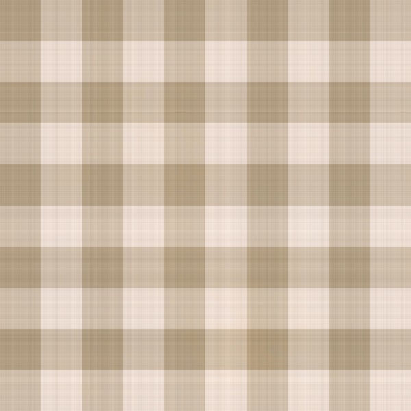 Cozy Soft Beige Checkered Gingham