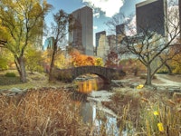 Manhattan's Autumn Embrace wallpaper