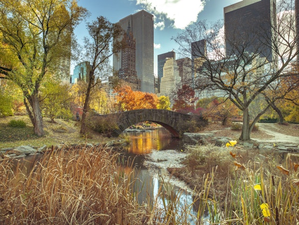 Manhattan's Autumn Embrace