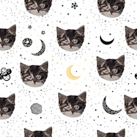 Cute cats and space pattern tapete