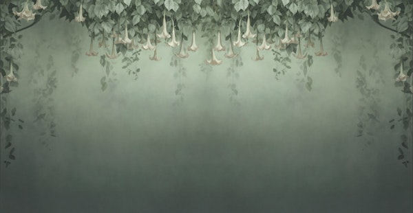 Angel’s Trumpet Canopy